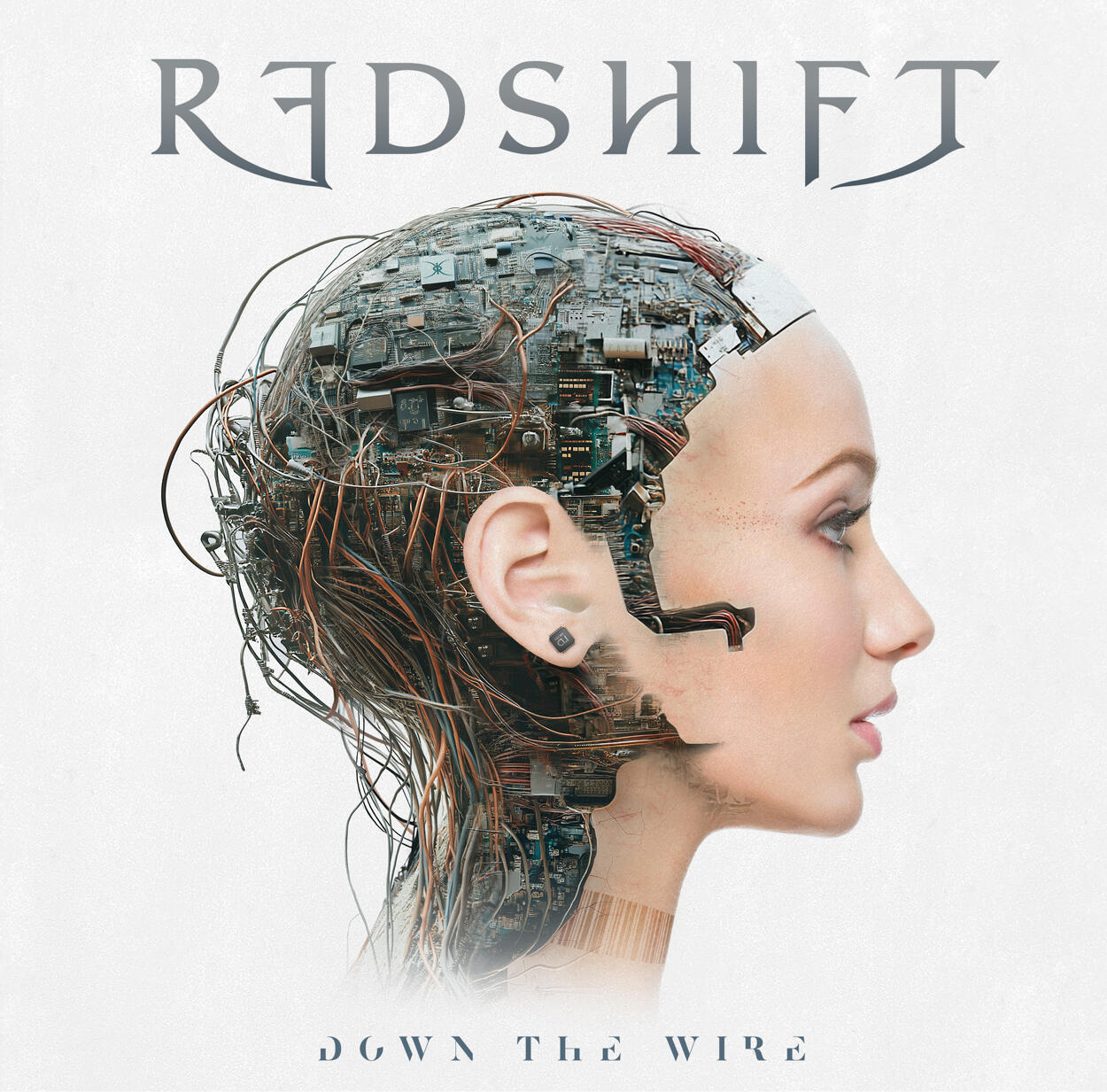 Laws of Entropy Album Cover Cover for Redshift's sophomore album